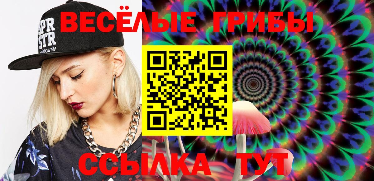 Галлюциногенные грибы Cubensis Тихвин
