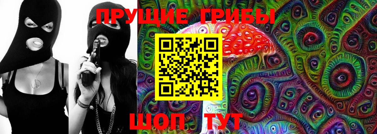Тихвин  Псилоцибиновые грибы мицелий  Псилоцибиновые грибы Cubensis  Вход с VPN 